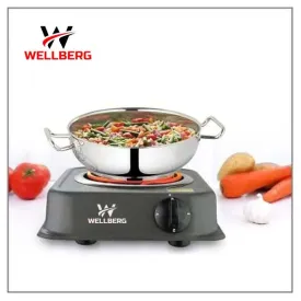 2000 watt Flameless Hot Plate Stove