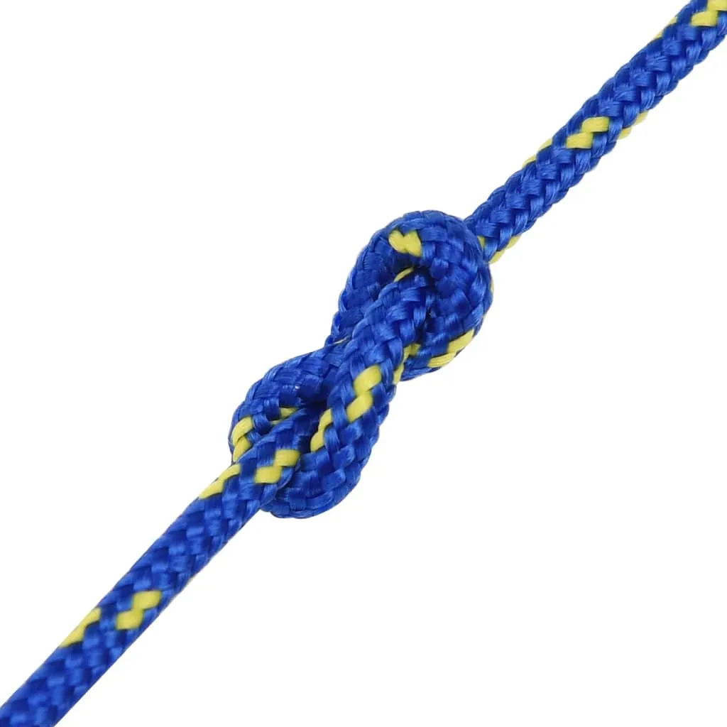 Boat Rope Blue 3 mm 25 m Polypropylene