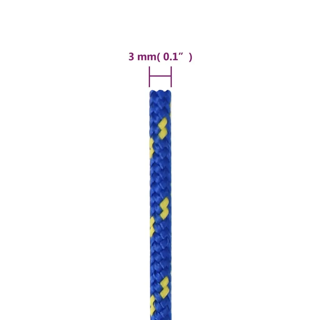 Boat Rope Blue 3 mm 25 m Polypropylene