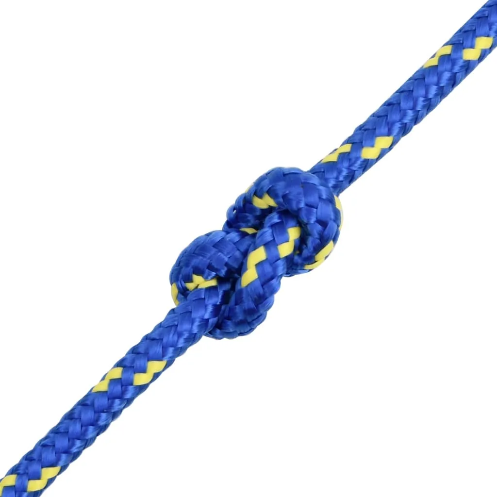 Boat Rope Blue 6 mm 25 m Polypropylene